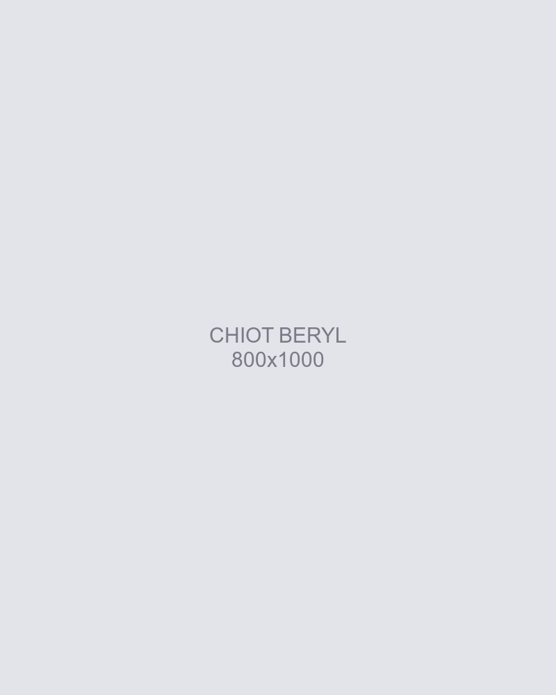 Béryl, chiot femelle bleu merle de 8 semaines, en mouvement dans l'herbe