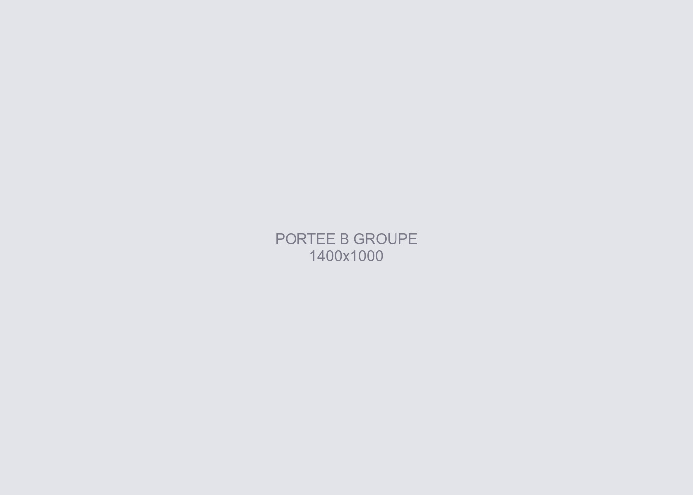 Les six chiots de la portée B, alignés sur une couverture beige dans le jardin