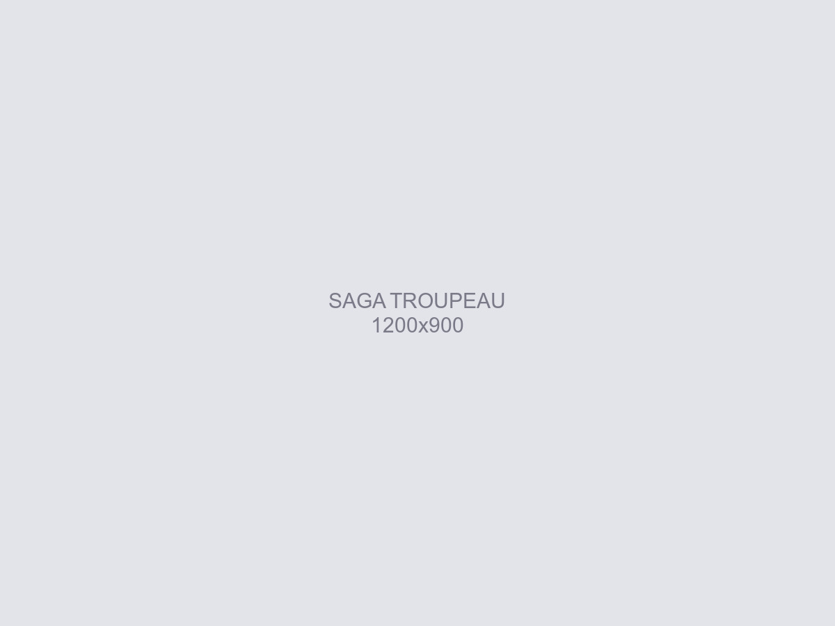 Saga en plein virage au troupeau, concentrée sur trois brebis