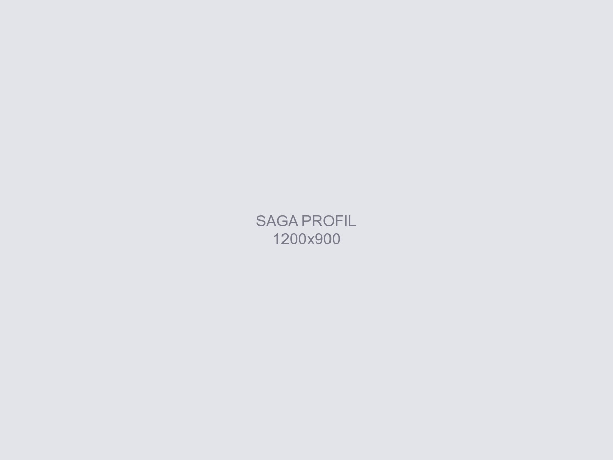 Saga de profil, debout en stack, montrant sa construction